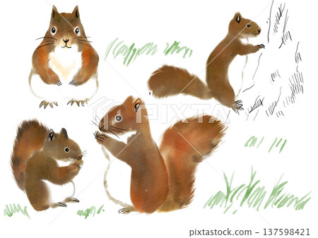 一隻松鼠畫水彩的插圖 137598421