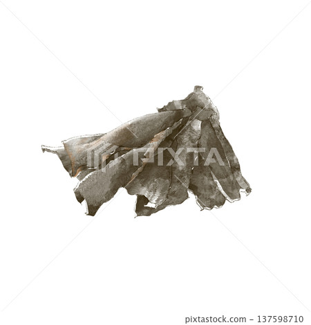 Watercolor dashi kelp 137598710