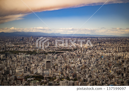 Aerial view of Tokyo, Tokyo, Tokyo Skytree, observation deck, clear skies, city, overlooking, buildings, metropolis, capital, Japan Aerial view of Tokyo, Tokyo, Tokyo Skytree, observation deck, clear skies, city, overlooking, buildings, metropolis, capital, Japan 137599097