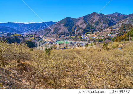從神奈川縣松田町賴之寄展望台附近眺望的西景（寄之寄臘梅園、宮地山、章魚千葉山、明神岳等） 137599277