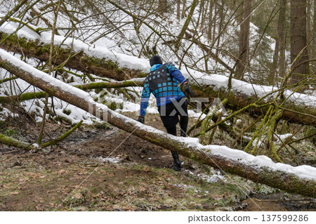 A male runner in a blue patterned jacket climbs over a large fallen tree trunk A male runner in a blue patterned jacket climbs over a large fallen tree trunk 137599286