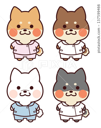 穿著護士服的柴犬 穿著護士服的柴犬 137599466