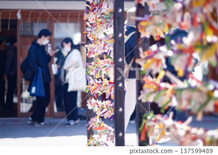Knotting the Omikuji at the shrine 137599489