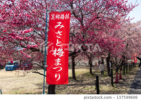 Misato Plum Festival flags at Misato Plum Grove, Gunma Prefecture 137599606
