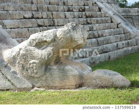 feathered serpent head 137599819