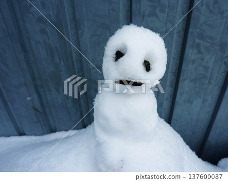 冬天,雪人,雪,雪景,寒冷,降雪,冬季景色,風景,戶外,日本,自然,下雪 冬天,雪人,雪,雪景,寒冷,降雪,冬季景色,風景,戶外,日本,自然,下雪 137600087
