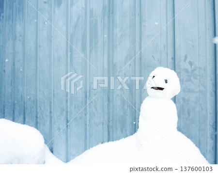 冬天,雪人,雪,雪景,寒冷,降雪,冬季景色,風景,戶外,日本,自然,下雪 冬天,雪人,雪,雪景,寒冷,降雪,冬季景色,風景,戶外,日本,自然,下雪 137600103