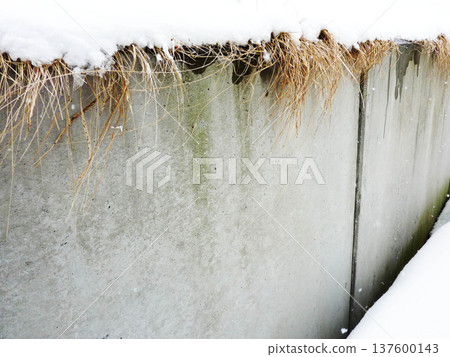 Colorful background material Colorful background material 137600143