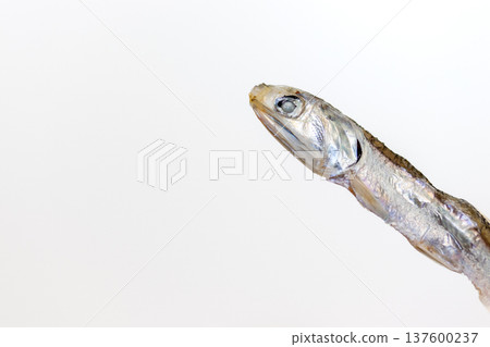 小魚乾 小魚乾 137600237