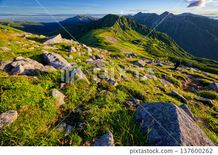 Morning view of Mount Mitsumatarenge, Mount Yakushi, Mount Suisho, and Mount Washu from the ridgeline of Mount Sugoroku in the Northern Alps Morning view of Mount Mitsumatarenge, Mount Yakushi, Mount Suisho, and Mount Washu from the ridgeline of Mount Sugoroku in the Northern Alps 137600262