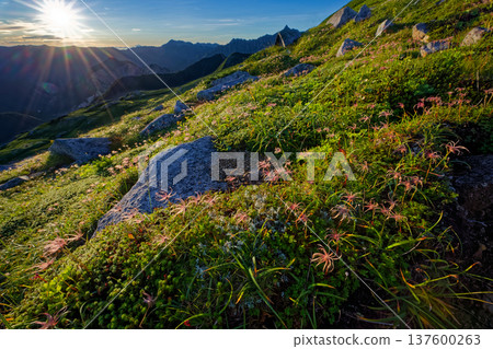 Northern Alps, Mount Sugoroku, and Mount Yari and Mount Daitenjo Northern Alps, Mount Sugoroku, and Mount Yari and Mount Daitenjo 137600263