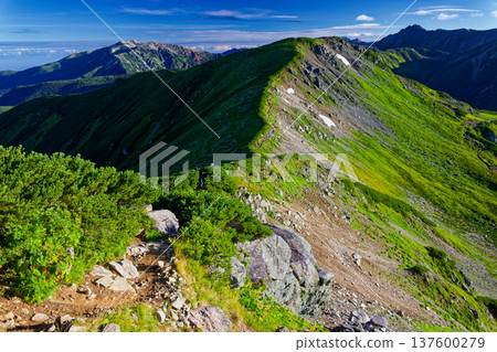 從北阿爾卑斯山的丸山上可以看到翠翔岳、三股蓮華嶽和藥師岳。 137600279