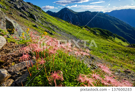 Northern Alps, Mount Mitsumatarenge ridgeline, and Mount Washu 137600283