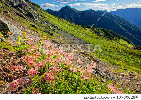北阿爾卑斯山脈、三股蓮華山山脊線和鷲羽山 137600284