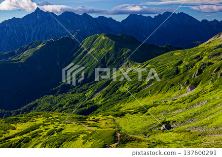 從北阿爾卑斯山的三股蓮華山眺望槍岳和穗高岳的夏季景色 137600291