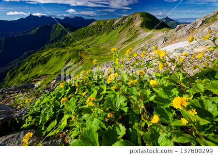 北阿爾卑斯山、三俁蓮華山、矢裡穗高山脈 137600299