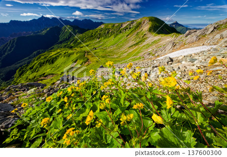 北阿爾卑斯山、三俁蓮華山、矢裡穗高山脈 137600300