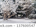 A quiet park surrounded by snow ① 137600547