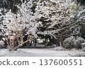 A quiet park surrounded by snow ② 137600551