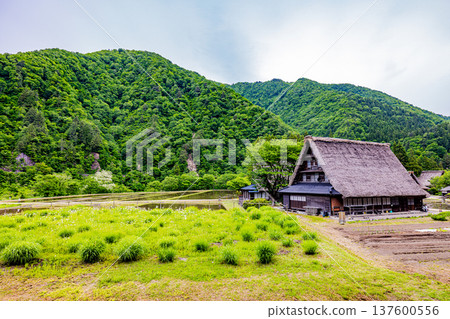 Gokayama Suganuma Village Scenery Gokayama Suganuma Village Scenery 137600556