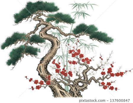 美麗的日本插畫，描繪了松樹、竹子、梅花以及紅白相間的梅花。 137600847