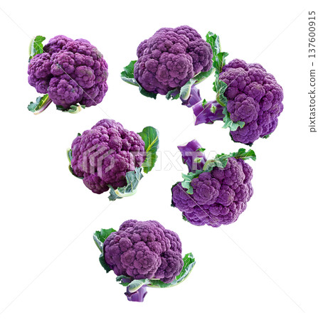 Fresh purple cauliflower heads with green leaves, isolated on white background, concept of healthy organic vegetables 137600915