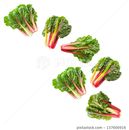Fresh rainbow Swiss chard leaves with vivid red and yellow stems arranged in a seamless pattern isolated on white background 137600916