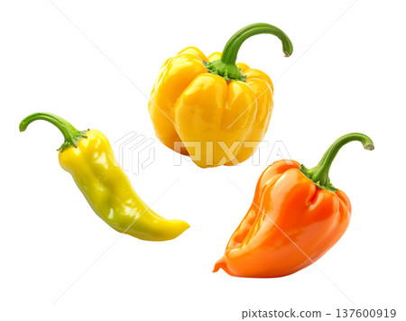 Fresh yellow and orange peppers with a dewy yellow tomato, isolated on white background, concept of healthy organic food Fresh yellow and orange peppers with a dewy yellow tomato, isolated on white background, concept of healthy organic food 137600919