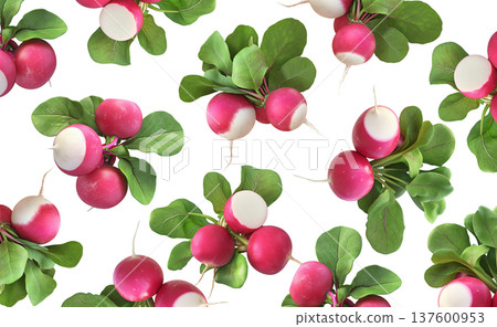 Fresh whole radishes with green leaves scattered and isolated on a white background, realistic style, healthy food concept pattern Fresh whole radishes with green leaves scattered and isolated on a white background, realistic style, healthy food concept pattern 137600953