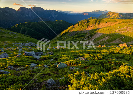 Morning view of Mount Hotaka, Mount Norikura, and Mount Ontake from Mount Sugoroku in the Northern Alps 137600985