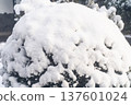 Winter scenery of snow-covered garden trees② 137601024