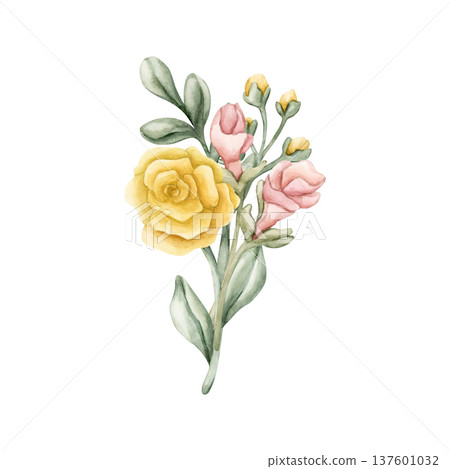 Cute Colourful Meadow Flower Bouquet. Watercolor summer spring bloom floral illustration hand painted isolated on white background for nursery baby kids design fresh prints cards posters textile 137601032