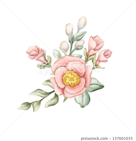 Cute Colourful Meadow Flower Bouquet. Watercolor summer spring bloom floral illustration hand painted isolated on white background for nursery baby kids design fresh prints cards posters textile Cute Colourful Meadow Flower Bouquet. Watercolor summer spring bloom floral illustration hand painted isolated on white background for nursery baby kids design fresh prints cards posters textile 137601035