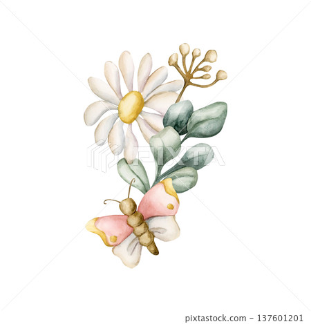 Cute Daisy Chamomile Flower Butterfly. Wildflowers Watercolor summer spring floral illustration hand painted isolated on white background for nursery baby kids design fresh prints cards poster textile Cute Daisy Chamomile Flower Butterfly. Wildflowers Watercolor summer spring floral illustration hand painted isolated on white background for nursery baby kids design fresh prints cards poster textile 137601201
