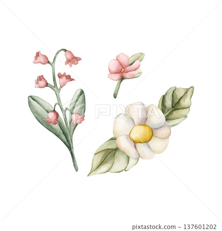 Cute Colourful Meadow Flowers. Wildflowers Watercolor summer spring bloom floral illustration hand painted isolated on white background for nursery baby kids design fresh prints cards posters textile 137601202