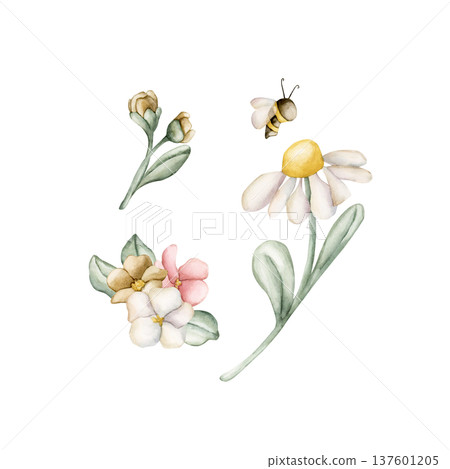 Cute Colourful Meadow Flowers Bee. Wildflowers Watercolor summer spring bloom floral illustration hand painted isolated on white background for nursery baby kids design fresh print card poster textile 137601205
