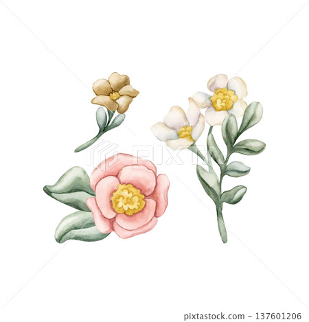 Cute Colourful Meadow Flower Bouquet. Watercolor summer spring bloom floral illustration hand painted isolated on white background for nursery baby kids design fresh prints cards posters textile Cute Colourful Meadow Flower Bouquet. Watercolor summer spring bloom floral illustration hand painted isolated on white background for nursery baby kids design fresh prints cards posters textile 137601206