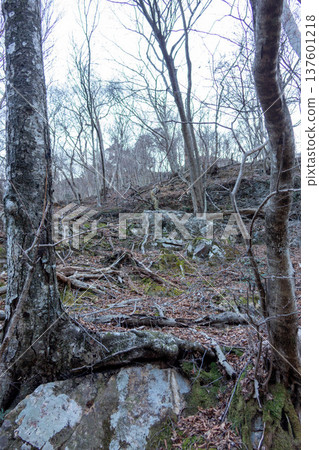 栃木縣日光國立公園：美麗的龍峽、瀑布、河流和遠足步道 137601218