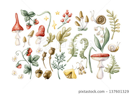 Cute Forest Plants and animals Set Mushroom Berries Snail. Watercolor summer floral illustration hand painted isolated on white background nursery baby kids design fresh whimsical prints cards textile Cute Forest Plants and animals Set Mushroom Berries Snail. Watercolor summer floral illustration hand painted isolated on white background nursery baby kids design fresh whimsical prints cards textile 137601329