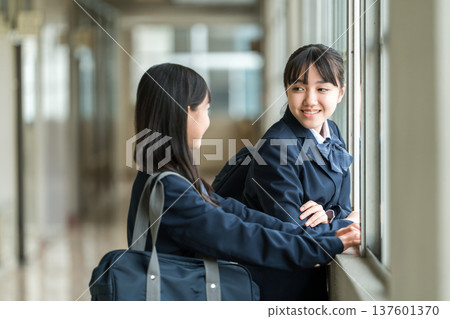 Junior high school girls in uniforms talking in the school corridor 137601370