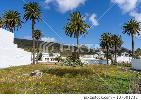 A bright, sunny day in Lanzarote, showcasing palm trees, white buildings, and a vibrant landscape under a blue sky. A bright, sunny day in Lanzarote, showcasing palm trees, white buildings, and a vibrant landscape under a blue sky. 137601738