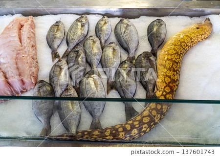 A display of fresh seafood, including whole fish and an eel, arranged over crushed ice in a showcase, ready to be sold. A display of fresh seafood, including whole fish and an eel, arranged over crushed ice in a showcase, ready to be sold. 137601743