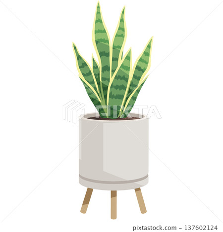 Sansevieria potted plant Simple flat illustration of a houseplant Sansevieria potted plant Simple flat illustration of a houseplant 137602124