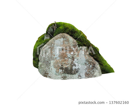 stone covered with moss isolated on white background 137602160