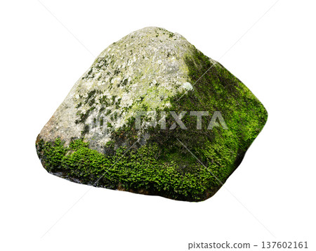 stone covered with moss isolated on white background 137602161