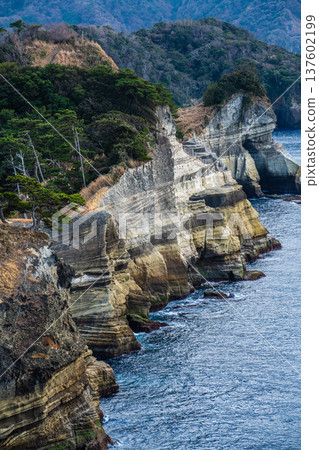 狗島公園（靜岡縣賀茂郡西水町） 137602199