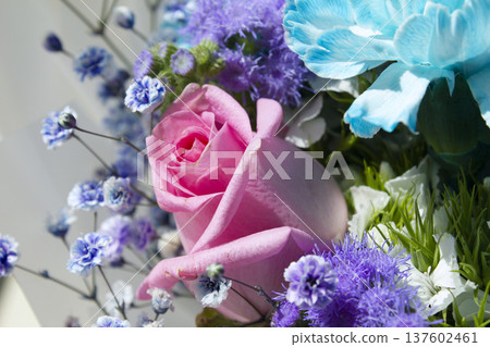 A close-up of a rose in a bouquet. A close-up of a rose in a bouquet. 137602461