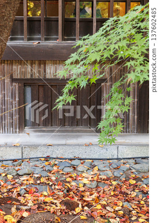 落葉的風景 137602485