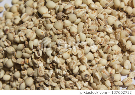 This is a close-up of coix This is a close-up of coix 137602732