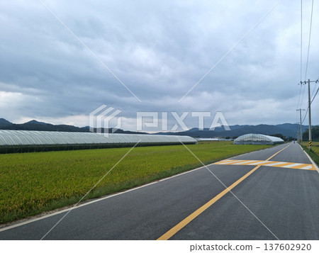 It's a field and a straight road. It's a field and a straight road. 137602920